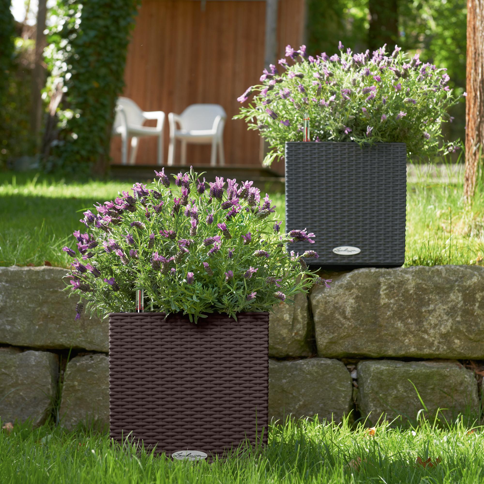 le_cube-cottage30_product_addi_02
